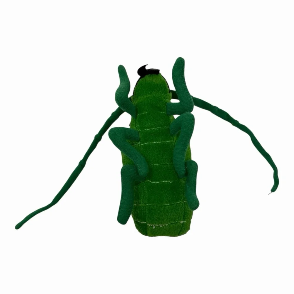 Beetle‎ Insects 5